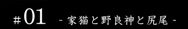#01 - 家猫と野良神と尻尾 -